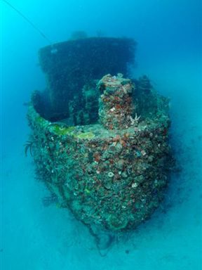 Dive With South Florida Diving Headquarters